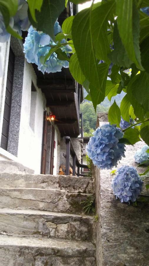 Villa Casa Zizi Crodo Exterior foto